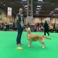 Crufts